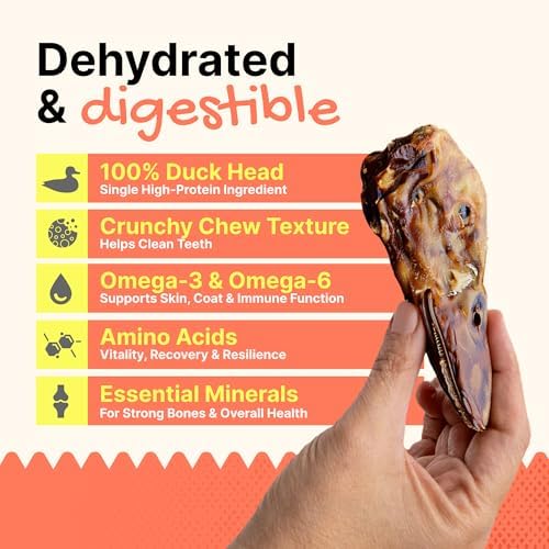 Gaines Family Farmstead Duck Heads for Dogs – 3 Pack, Single Ingredient, Dehydrated Dog Chews – High in Protein, Supports Dental Health & Joint Care – Rawhide-Free Treats, Made in USA