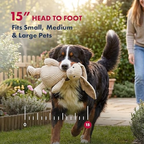 Petlou Soft Corduroy Rabbit Dog and Cat Toys with Multi-Squeaks and Crinkle Paper.15-Inch Creamy White Colour