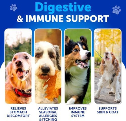 Probiotics for Dogs - 70 Chews - Dog Yeast Probiotic - Dog Probiotics