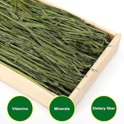 Premium Dust-Free Oat Hay 2.2lbs (2×1.1lbs) for Small Pets