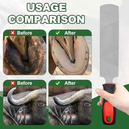 12 Inch Hoof Rasp, Carbon Steel Farrier File with Handle