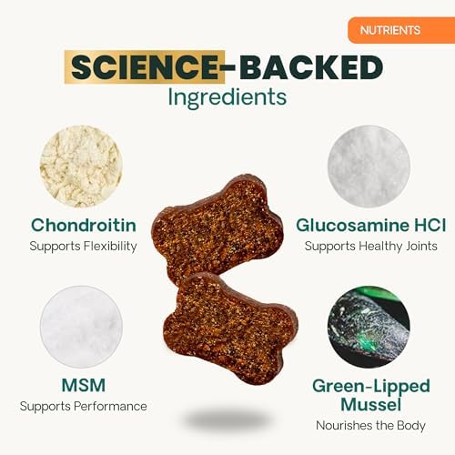 VetriScience Ultimate Strength Healthy Hip & Joint for Dogs, Bacon, 120ct