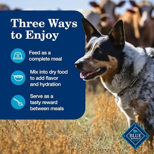 Blue Buffalo Homestyle Recipe Variety Pack Wet Dog Food, 12.5 oz, 6 ct