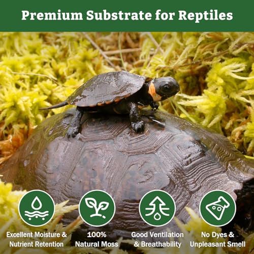 Riare 5.3oz Natural Sphagnum Moss for Reptiles- Terrarium Reptiles Moss