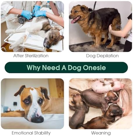 Kuoser Recovery Suit for Dogs After Surgery, Female Dog Onesie for Surgery