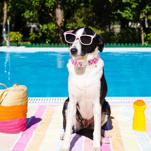 Summer Dog Collar, Pink Checkered Cotton Dog Collar with Quick Release, Gift Pink Collars for Small Medium Large Girls or Boys Dogs Cute Durable Comfortable Pet Collars