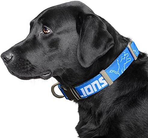 Littlearth NFL Detroit Lions Pet Premium Collar, Team Color, Small