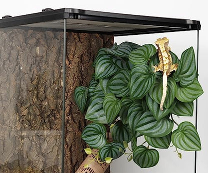 2Pack Fake Calathea Orbifolia, Reptile Habitat Plants with Suction