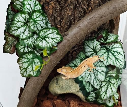 Woyrise Fake Reptile Plants for Terrarium,Tank Decor, Artificial Plant