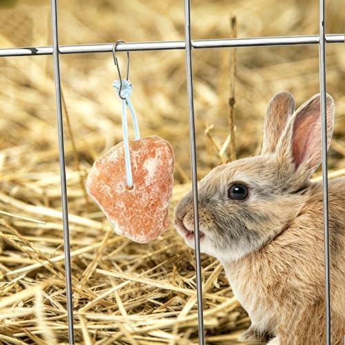 PINVNBY 12 Pieces Rabbit Himalayan Salt Lick Block,Pink Small Pets Natural Mineral Salts Blocks with Hook Hanging Small Animals Treat Chew Toys for Rabbits Horses Bunny