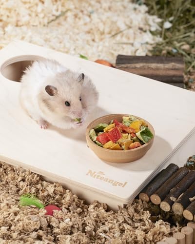 Niteangel Hamster Snack & Treats Toy - Freeze-Dried Sweet Pepper
