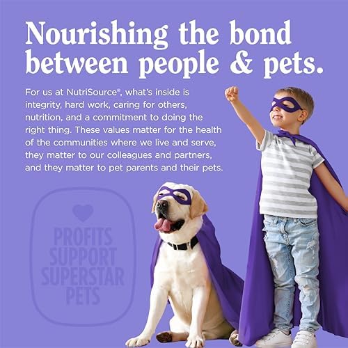 NutriSource AmpliFull Turkey Flavor Multivitamin Soft Chews for Dogs, Daily Supplement with Bovine Colostrum, Essential Vitamins & Minerals for Overall Health, 70 Chews (1 Pack)
