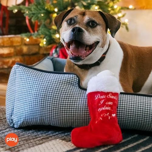 P.L.A.Y. Cute Plush Dog Toys - Merry Woofmas Christmas Themed Durable Squeaker Chew Toy, Great for Puppies & Small, Medium, Large Dog Breeds - Machine Washable, Recycled Materials (Good Dog Stocking)
