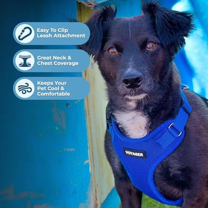 Voyager Step-in Lock Dog Harness - Royal Blue, Medium