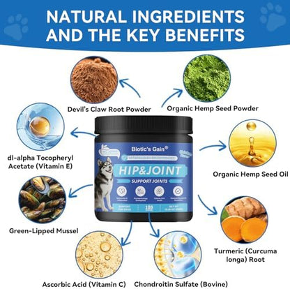 Biotic’s Gain Dog Joint Supplement | Glucosamine for Dogs | 120 Soft Chews
