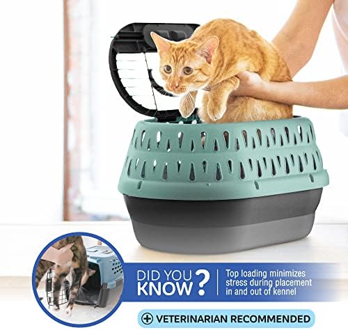 Petmate Top Load Plastic Cat Kennel, One-Door, 19in, Purple