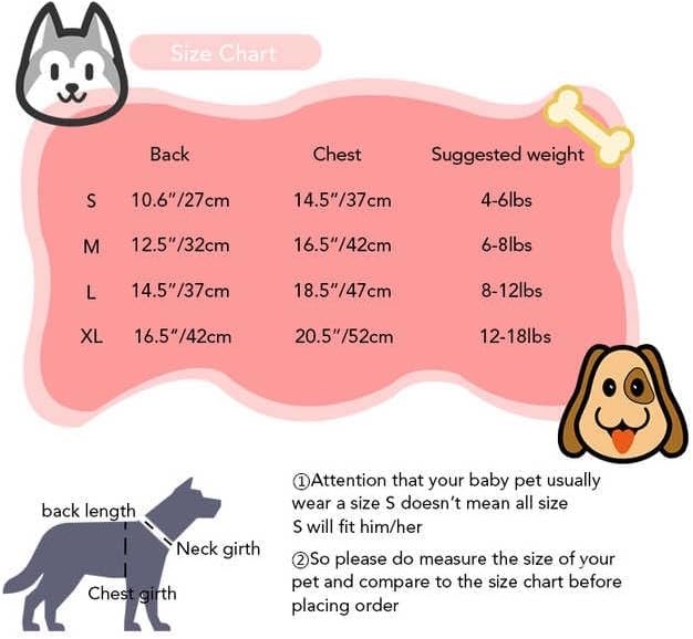 Everything Chic Luxury Designer Dog T Shirt – Cute Puppy Clothes for Small Dogs, Fashion Pet Tee Outfit for French Bulldogs & Chihuahuas, Everything Chic Dog Apparel Large Hairmes