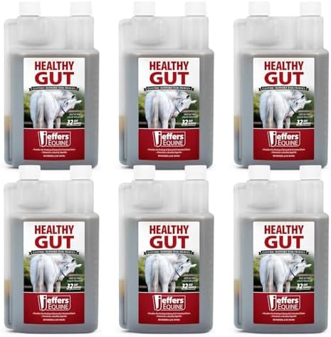 Jeffers Equine Healthy Gut Gastric Support – Liquid Digestive Supplement for Horses, Easy to Administer Formula, Supports Gut Comfort & Balanced Digestion – 32 oz (32 Day Supply) 6 Count