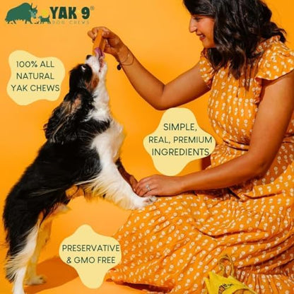 Yak9 Himalayan Yak Cheese Dog Chews, Honey & Spirulina | High Protein Treats, High Fiber, Rawhide Free, Long Lasting Treats | Medium Flavored Yak Chews, 2 PC
