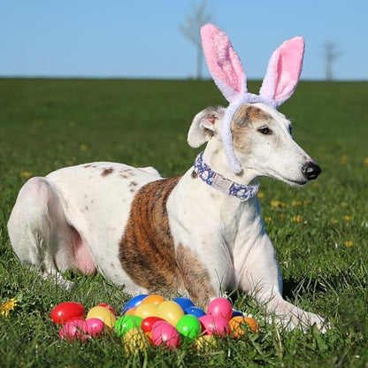 Easter Dog Collar, Cute Easter Bunny Eggs Pet Collar with Metal Buckle, Durable Adjustable Holiday Dog Collars for Small Medium Large Dogs XL