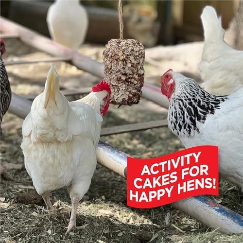 Pine Tree Farms Hen Pecked Classic Seed Log, 28 oz. (3 Pack)