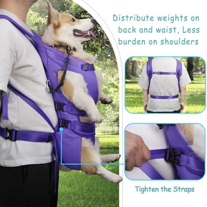 PetBonus Dog Front Carrier Backpacks, Legs Out Easy-fit Puppy Chest Carrier