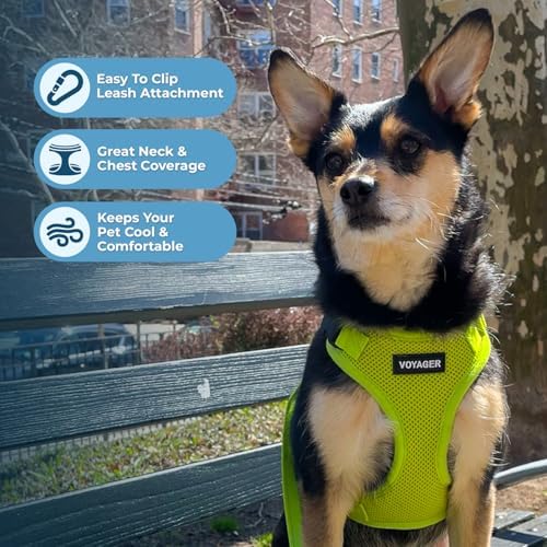 Best Pet Supplies Voyager Step-in Lock Pet Harness w Reflective Pet Leash Combo Set with Neoprene Handle 5ft - Supports Small, Medium and Large Breed Puppies/Cats - Lime Green, XL