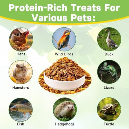MTART 5LB Dried Black Soldier Fly Larvae Chicken Feed, 100% Natural Non-GMO More Calcium Than Dried Mealworms, High Protein Chicken Treat for Layer Hens, Birds, Ducks