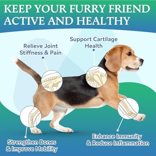 Dog Joint Supplement, Hip and Joint Supplement with Glucosamine Chondroitin