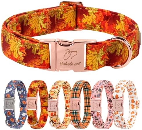 Fall Dog Collar for Medium Dogs - Gold Maple Leaves Tanksgiving Puppy Collar, Adjustable Heavy Duty Fall Festivel Cotton Dog Collars with Metal Buckle M