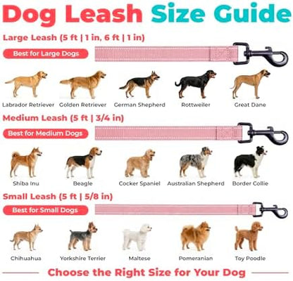 Best Pet Supplies Voyager Nylon Dog Leash - Pink, Small