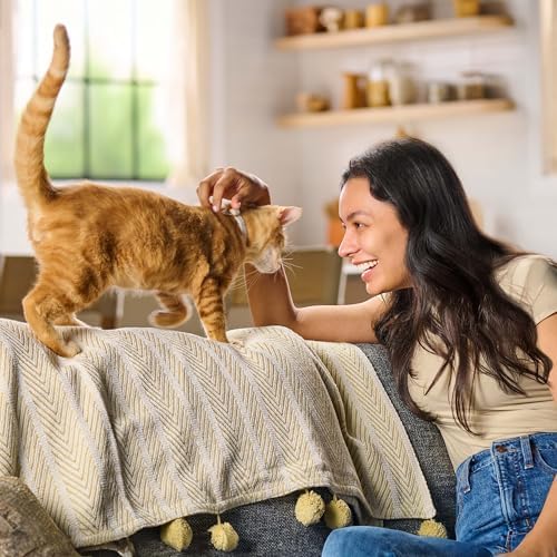 Meow Mix Gravy Bursts, Savory Salmon Flavor Kibble Mix, Gravy Filled Dry Cat Food, 3 lb. Bag (Pack of 2)