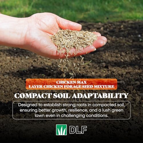 DLF Chicken Max – Forage Seed Mixture for Chickens, Poultry, and Farms – Layer Mix with Clover, Ryegrass, Buckwheat, and Flax – High-Protein Feed for Laying Hens, Chicks, and Coops – 5LB Bag