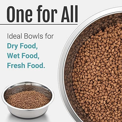 PEGGY11 Nonslip Stainless Steel Dog Cat Bowls, 2 US Cup Each, 2 Pack