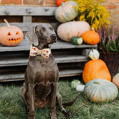 Lionheart glory Premium Dog Collars, Bowtie Dog Collar, Heavy Duty Adjustable Fall Dog Collar for Large Dogs Pumpkin Dog Collar, Collar Dog Bow