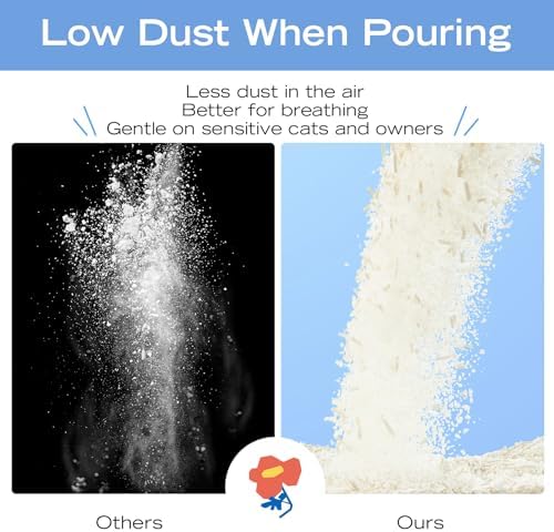 XuCuiHua Tofu Mix Cat Litter, Plant-Based, Strong Clumping Litter, Odor Control, Easy Scooping, Clumps Lift Cleanly, Low Dust, Corn & Cassava Litter, 5.5 LB x 3 Bags