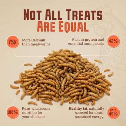 USA-Grown Dried Black Soldier Fly Larvae for Chickens, 5 lb