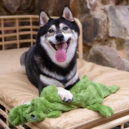 Best Pet Supplies 2-in-1 Stuffless Squeaky Dog Toy - Alligator, Large