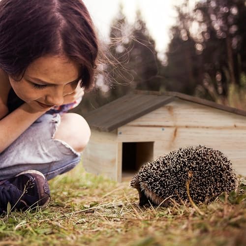 Relaxdays Hedgehog House, Wooden Protective Box, 2 Rooms, Hibernation Den