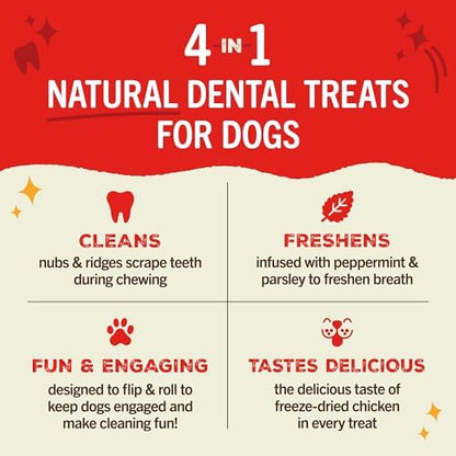 Stella & Chewy's Dental Delights with Freeze-Dried Chicken - Large Dental Treats for Dogs, 23.2 Ounce Bag