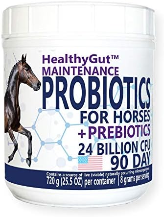 HealthyGut™ Probiotics for Horses Dietary Supplement, All-Natural Digestive System Maintenance Formula (90 Days)