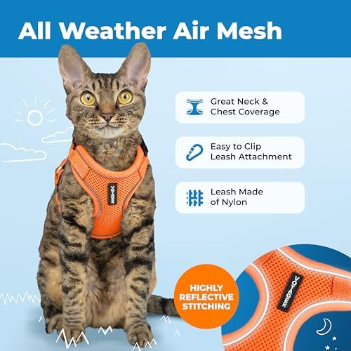 Voyager Escape-Proof Step-in Lock Cat Harness & 5ft Neoprene-Handle Leash Set All-Weather Mesh with Reflective Stitching for Small to Large Cats by Best Pet Supplies, Orange (327), M