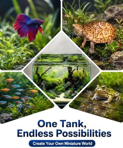 5 Gallon Rimless Glass Fish Tank, Ultra-Clear Aquarium for Betta Fish