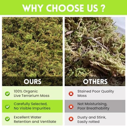 Riare 1.3lb Natural Sphagnum Moss for Reptiles, Terrarium Substrate Bedding