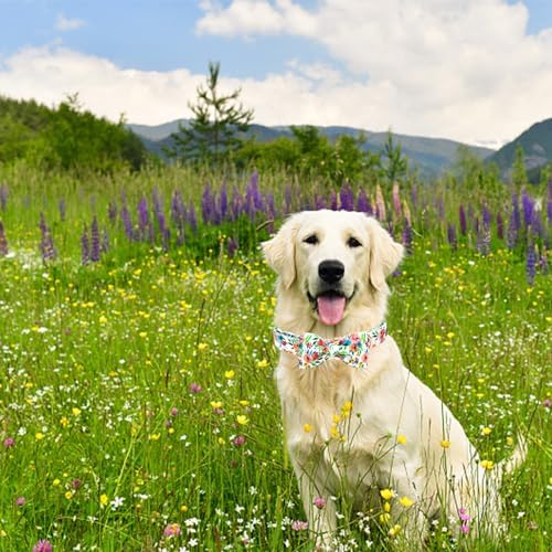 Dog Collar Flowers Print Pet Collar Soft Cute Puppy Collar with Bow Tie Adjustable Metal Buckle Collar Gift for X-Large Dogs
