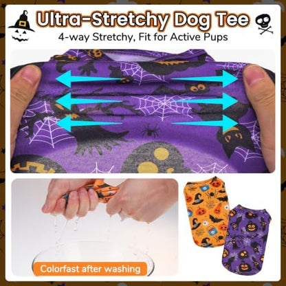 BINGPET 2PCS Dog Halloween Costume, Soft Cotton Puppy Shirt, Bat & Pumpkin