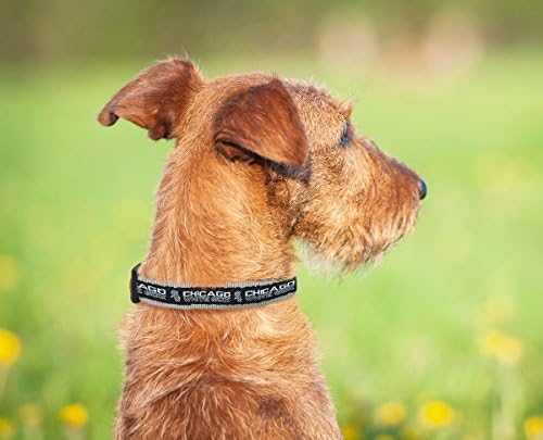 MLB Chicago White Sox Licensed PET COLLAR- Heavy-Duty, Strong, and Durable Dog Collar. Available in 29 Baseball Teams and 4 Sizes