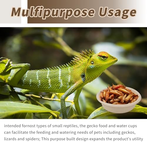 400 Pcs 1 oz Paper Feeding Cups for Reptiles and Small Pets