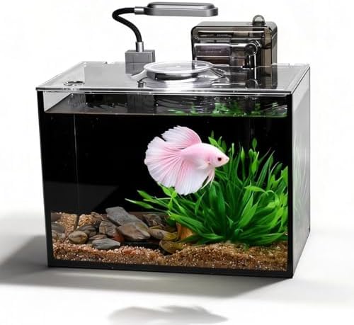 2.8 Gallon Fish Tank with Light,Filter,Lid,Landscape Accessories