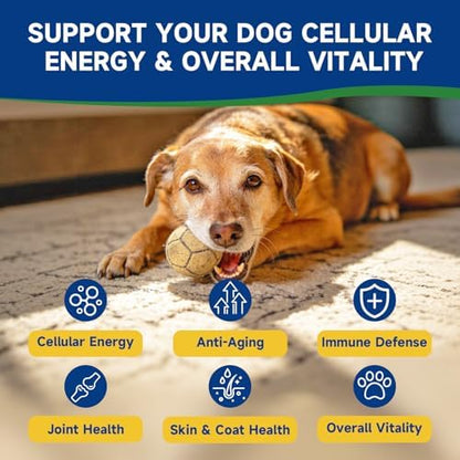 NAD+ Longevity for Senior Dogs, Cellular, Cognitive Health, 140 Chews